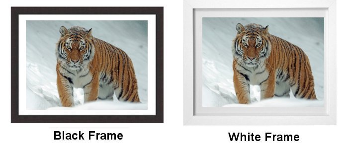 Select a Frame that will enhance your chosen print